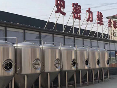 关岭精酿啤酒设备厂—市场规模与跨界新需求